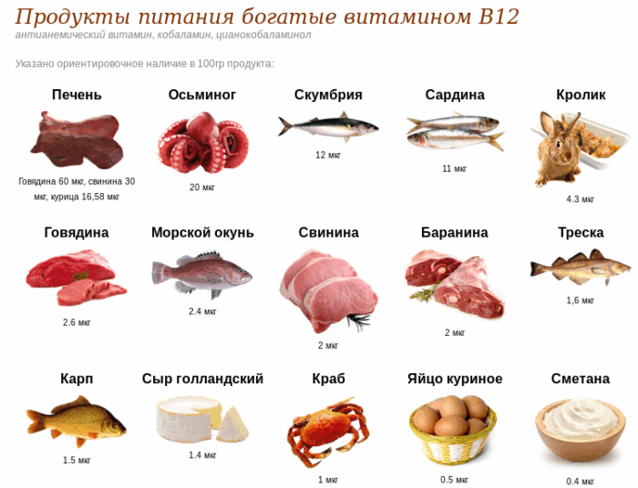 Продукты, багатые витамином B12